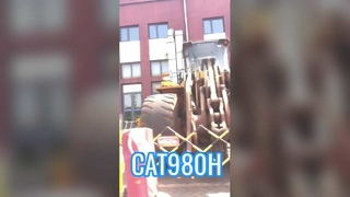 Κατηγορία CAT980H